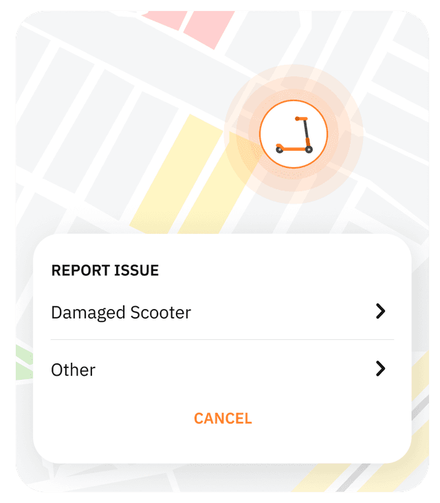 Authorization Features